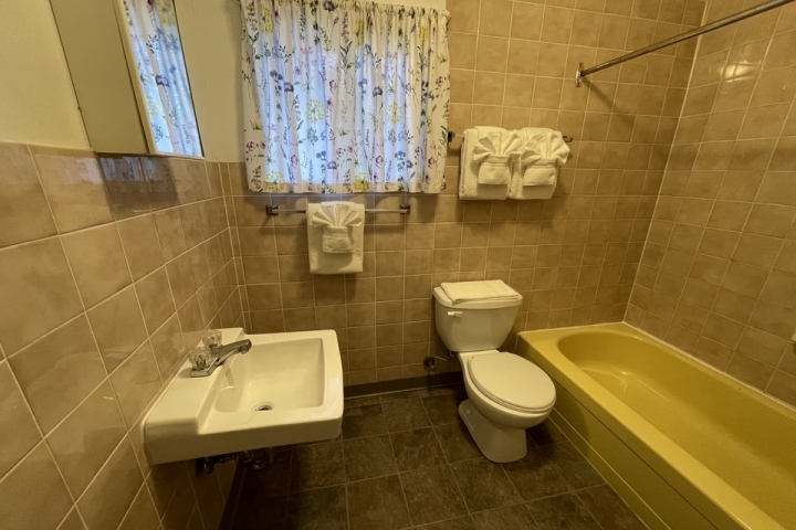 Rustic-Cabin-Bathroom